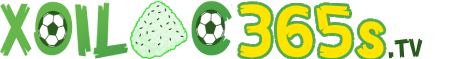 Https www betso88 cc - Bet888